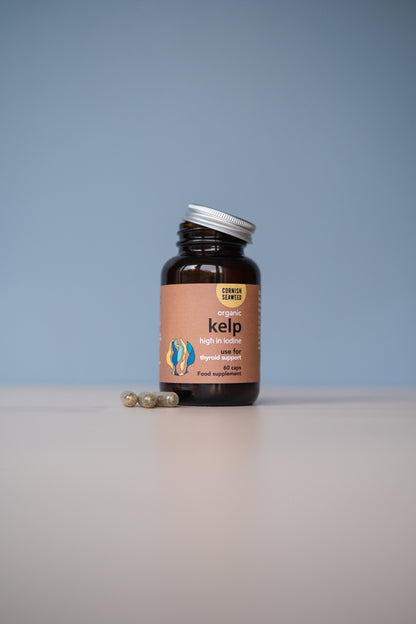Kelp