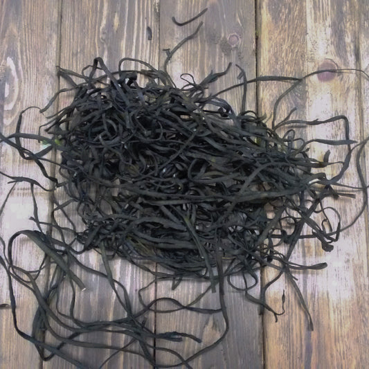 Organic Whole Sea Spaghetti - 40g