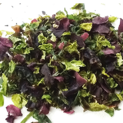 Sea Salad Shaker - 12g